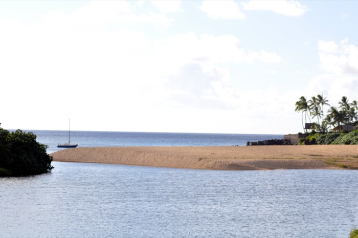 Waimea Bay