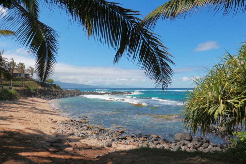 Kuʻau Cove coastline (near Mama's Fish House)