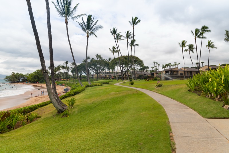Wailea Beach coastal walk (aerial)